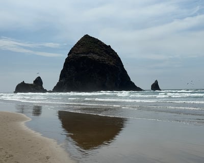 Explore the Oregon Coast & Whale Watching Day Tour