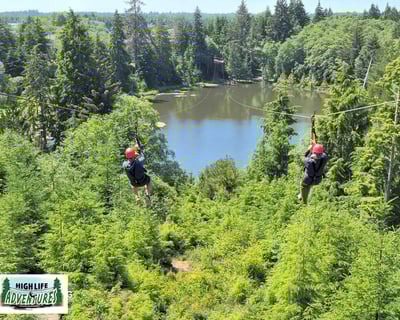 Guided Eight-Line Zip Line Tour