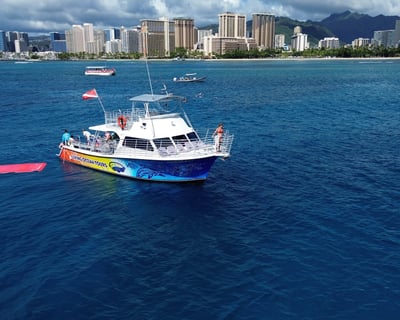 Turtle Canyons Snorkel Tour in Waikiki