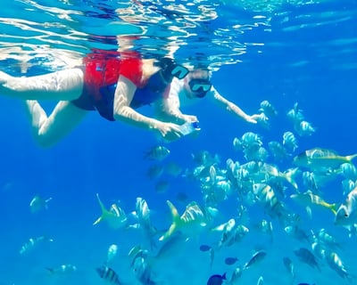 Puerto Plata Snorkeling Party Boat Cruise