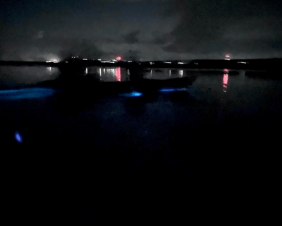 Sunset Bioluminescent Bay Kayak Tour in Vieques