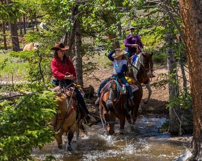 3-Hour Rocky Mountain National Park Trail Ride