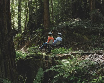 Fort Bragg Railbike Tour Through Redwood Groves