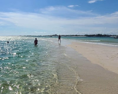Dolphin & Snorkel Charter Around Shell Island