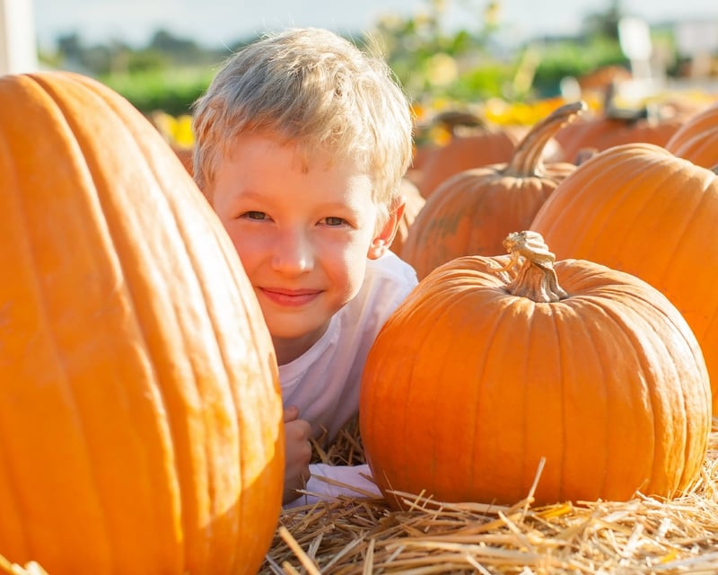 Pumpkin Train Ride in Calera