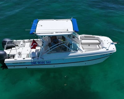 23' WorldCat Boat Rental in Cudjoe Key