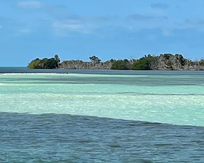 Key West 3-Hour Sandbar Charter