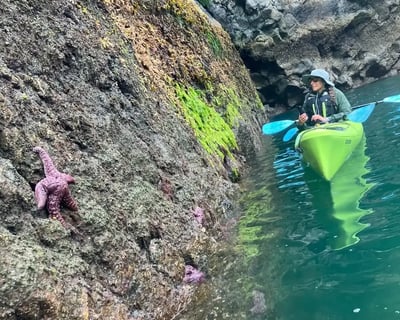 Humpy Cove Guided Kayak Tour