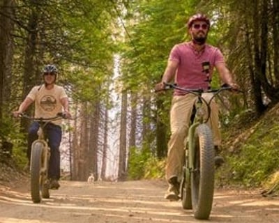 2-Hour Sierra National Forest E-Bike Rental