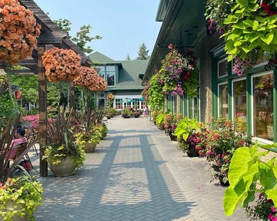Explore Victoria Highlights & Butchart Gardens Guided Tour