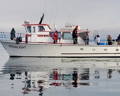 Kodiak Private Salmon & Halibut Fishing Charter