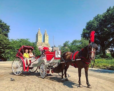 Ride a Horse-Drawn Carriage Through Central Park