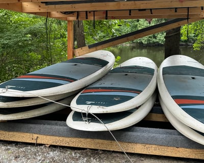 Charles River Stand-Up Paddleboard Rental