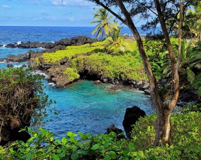 Private Road to Hana Guided Tour From Maui