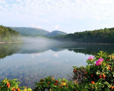 Guided Tour of Acadia National Park & Somes Sound