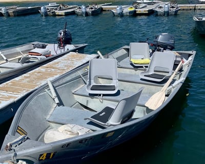 20 HP Motorboat Rental in Mammoth Lakes