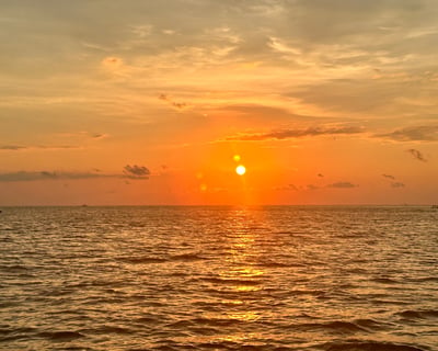 Sunset Dolphin Cruise in Bradenton Beach
