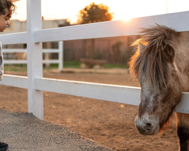 Kids Pony Riding Lesson in Sayreville for Ages 3+