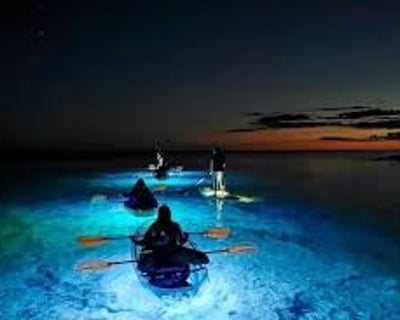 Paddle an Illuminated Moonlight Kayak Tour at Malone Springs