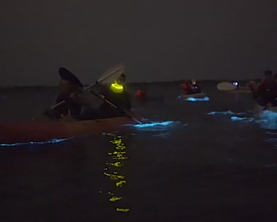 Clear Kayak Bioluminescence Tour in Merritt Island