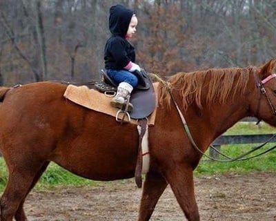 Pony Ride for Toddlers in New Plymouth, OH