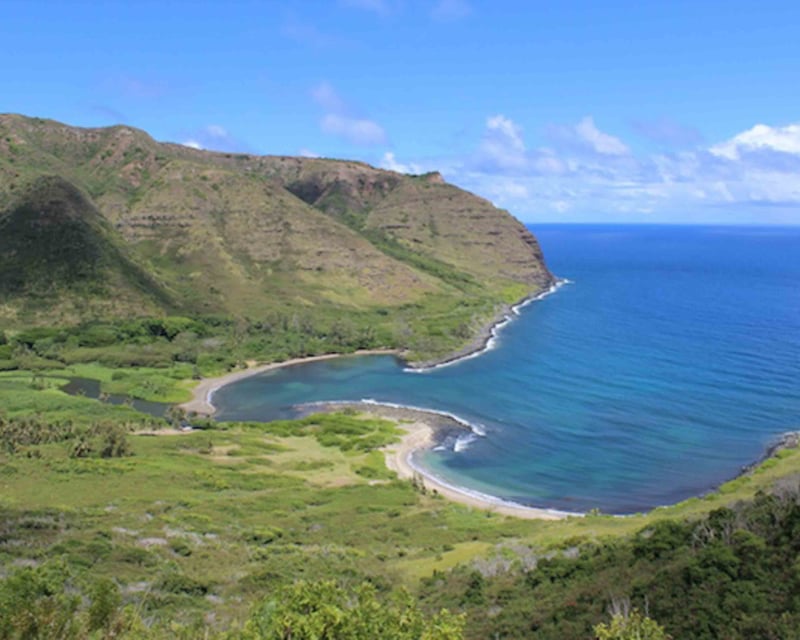 Halawa Valley Cultural Hike to Moaula Falls