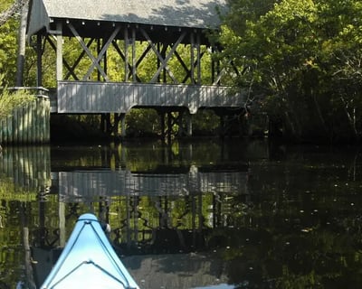 Guided Maritime Forest Kayak Tour in Kitty Hawk