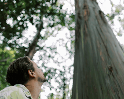 Guided Forest Bathing Tour in Kailua-Kona