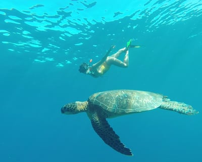 Kayak & Snorkel on a 2-Hour Tour in Puako