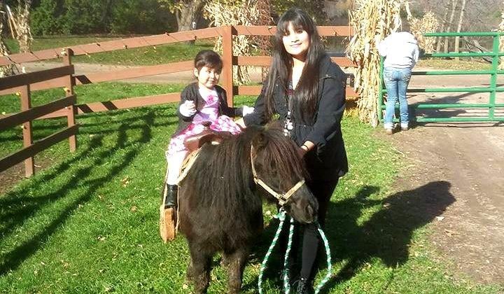 No-Rush Pony Ride with Gentle Lead Guide
