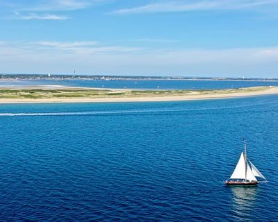 Bloodhound Daysail In Provincetown
