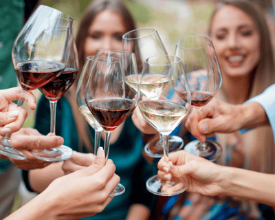 Luxury Wine Trolley Tour in Door County