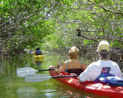 Paddle a 2-Hour Key West Kayak Eco Tour