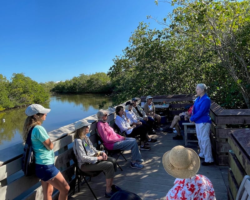 Guided Forest Bathing Walk in Naples