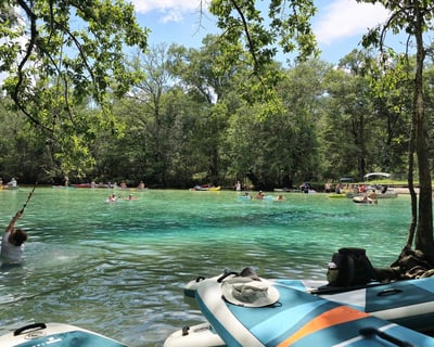 Cypress Springs Guided Paddleboard Tour