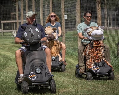 Private Wildlife Tour in Gainesville