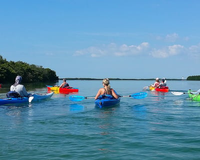 Mangrove Kayak Rental in Clearwater Beach