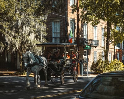 Guided Carriage Tour in Savannah