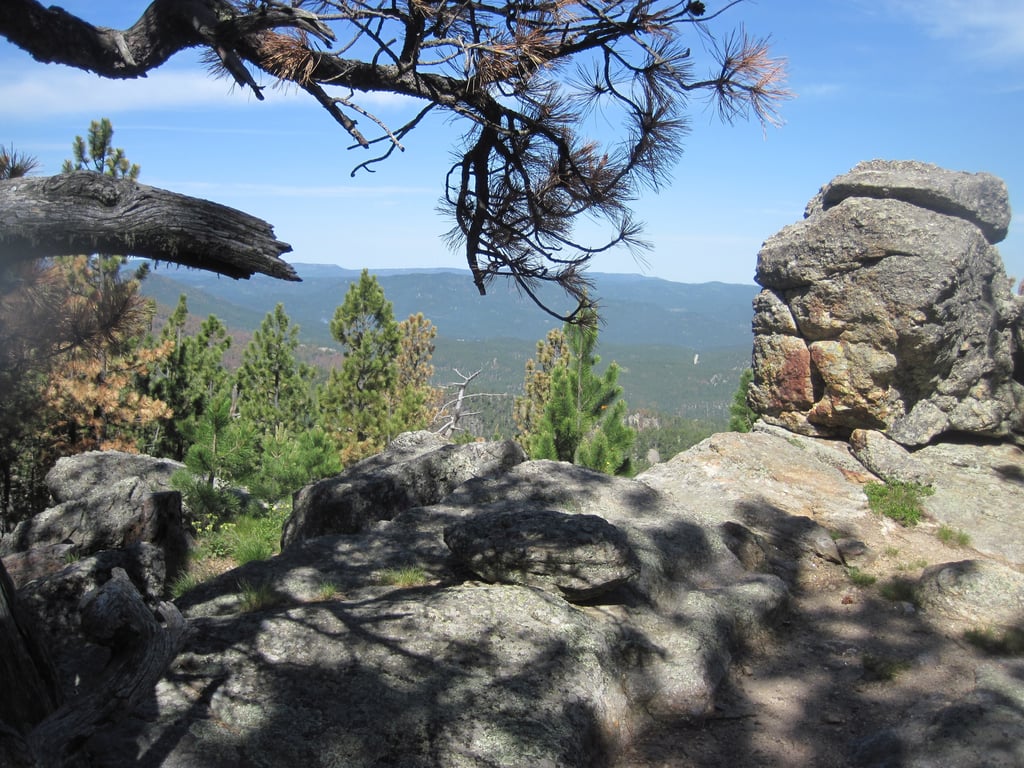 Black Hills Horseback Ride Through Wildlife Preserve