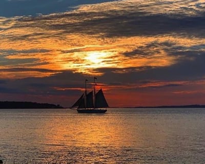 Sunset Sailing Cruise in Martha's Vineyard