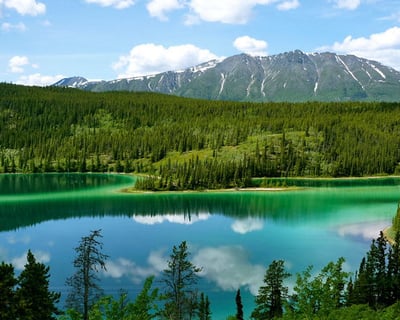 Explore Emerald Lake on a 7-Hour Private Tour