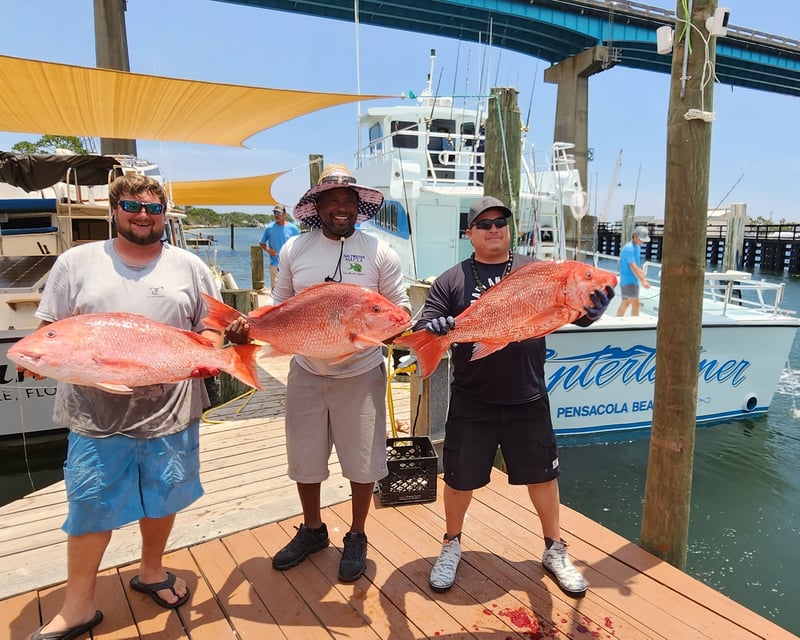 Full-Day Shared Gulf Fishing Trip in Perdido Key