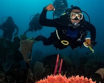 Bayahíbe Private 3-Tank Dive Charter