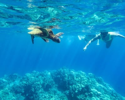 Private Snorkeling Charter on Hawaii's Big Island