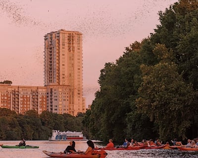 See 1.5M Bats Emerge at Sunset by Kayak