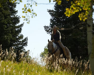 Stewart Falls Private Horseback Ride