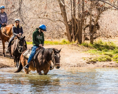 Ride an Outlaw Trail Horseback Tour in Cottonwood