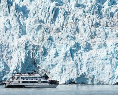 Kenai Fjords National Park 7.5-Hour Cruise