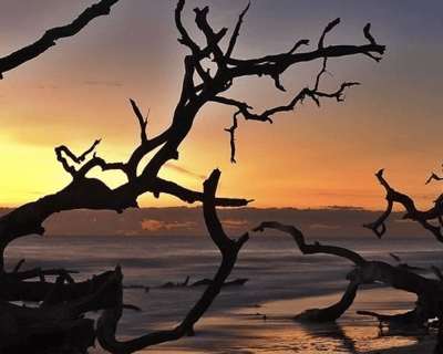 Sunset Horseback Ride on Jekyll Island