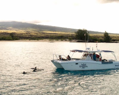 Private Snorkel Or Scuba Charter In Kailua-Kona